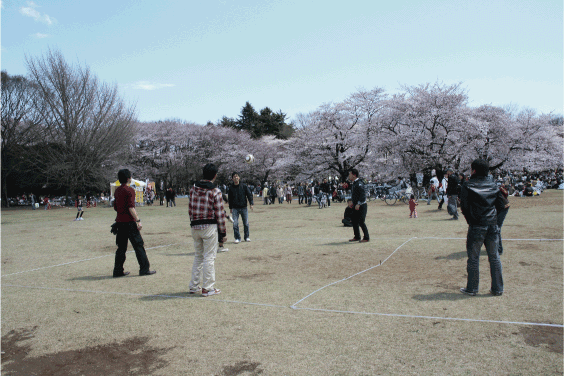 お花見